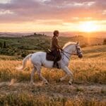 Esperienza a cavallo tra le colline toscane